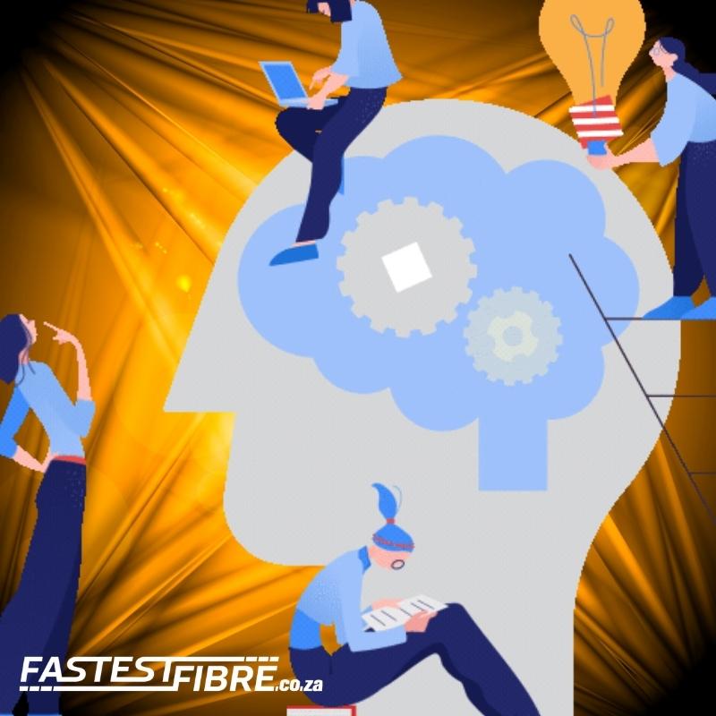 Monthly Fibre Internet Choosing a Fibre Provider in Cape Town