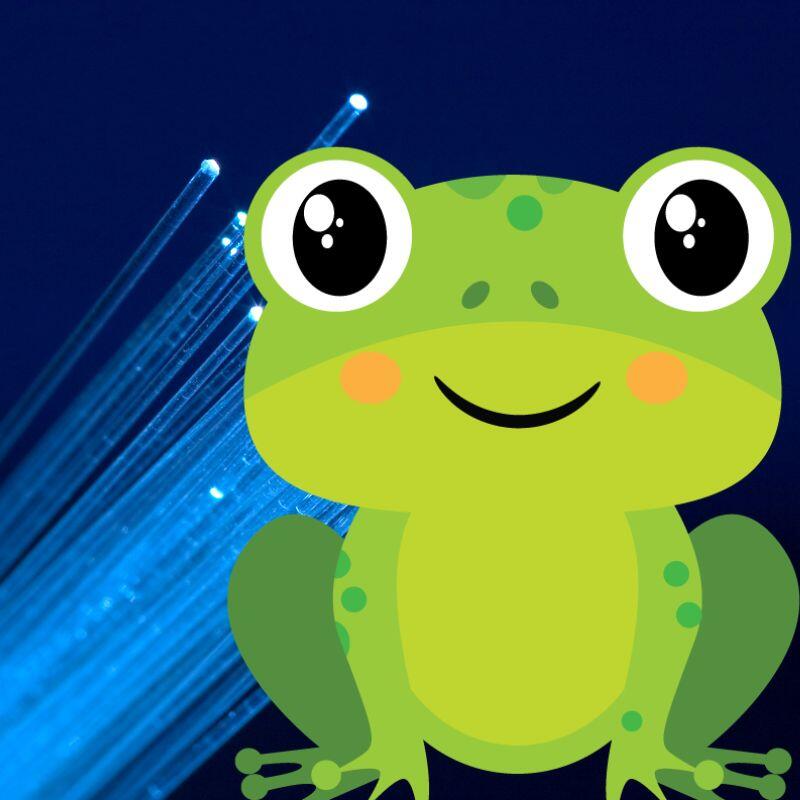 Frogfoot Fibre Deals